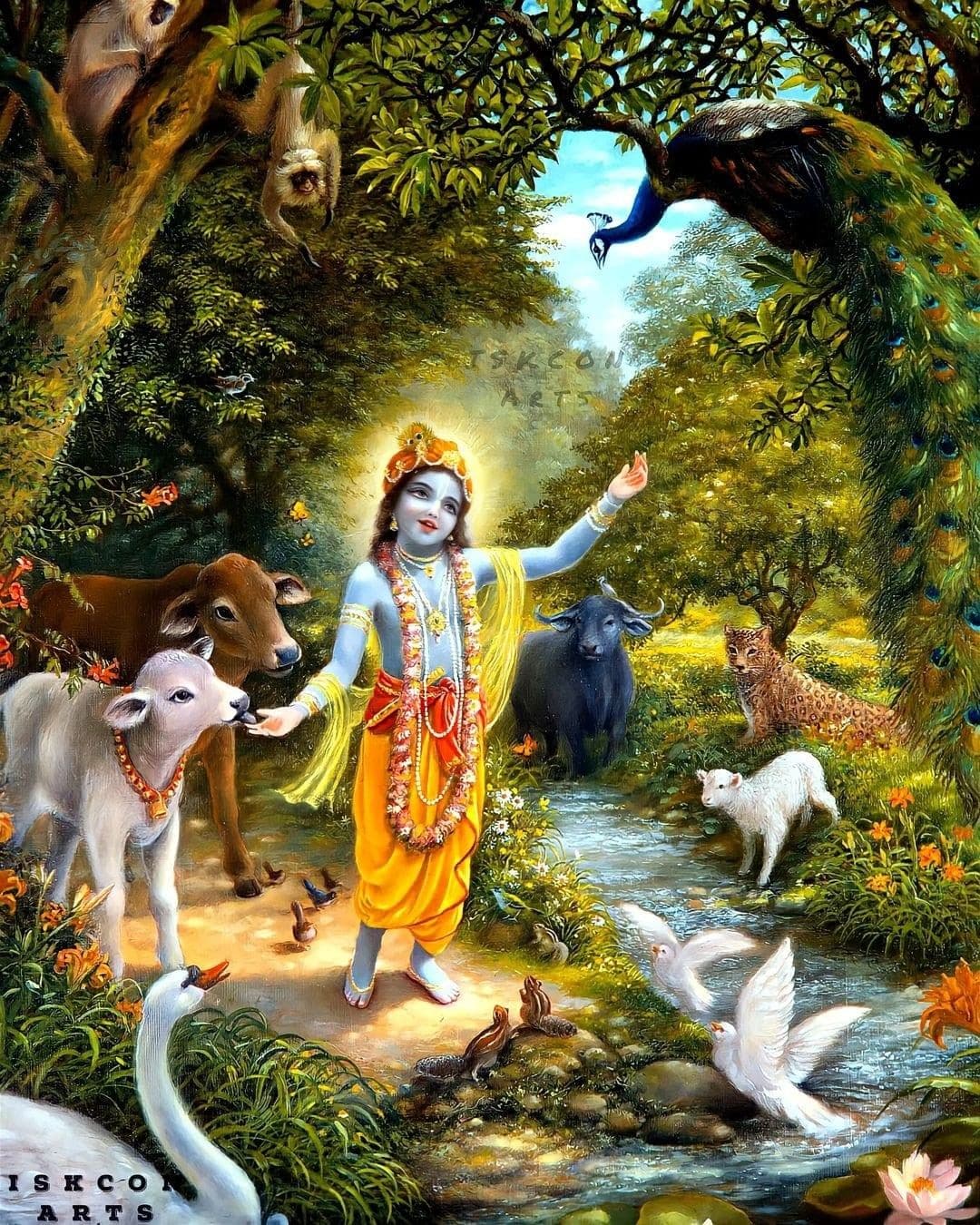 Image of Krishna